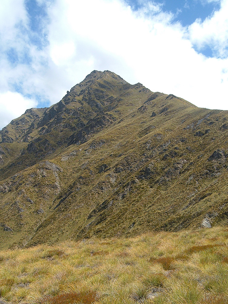 Ben Lomond summit above Queenstown