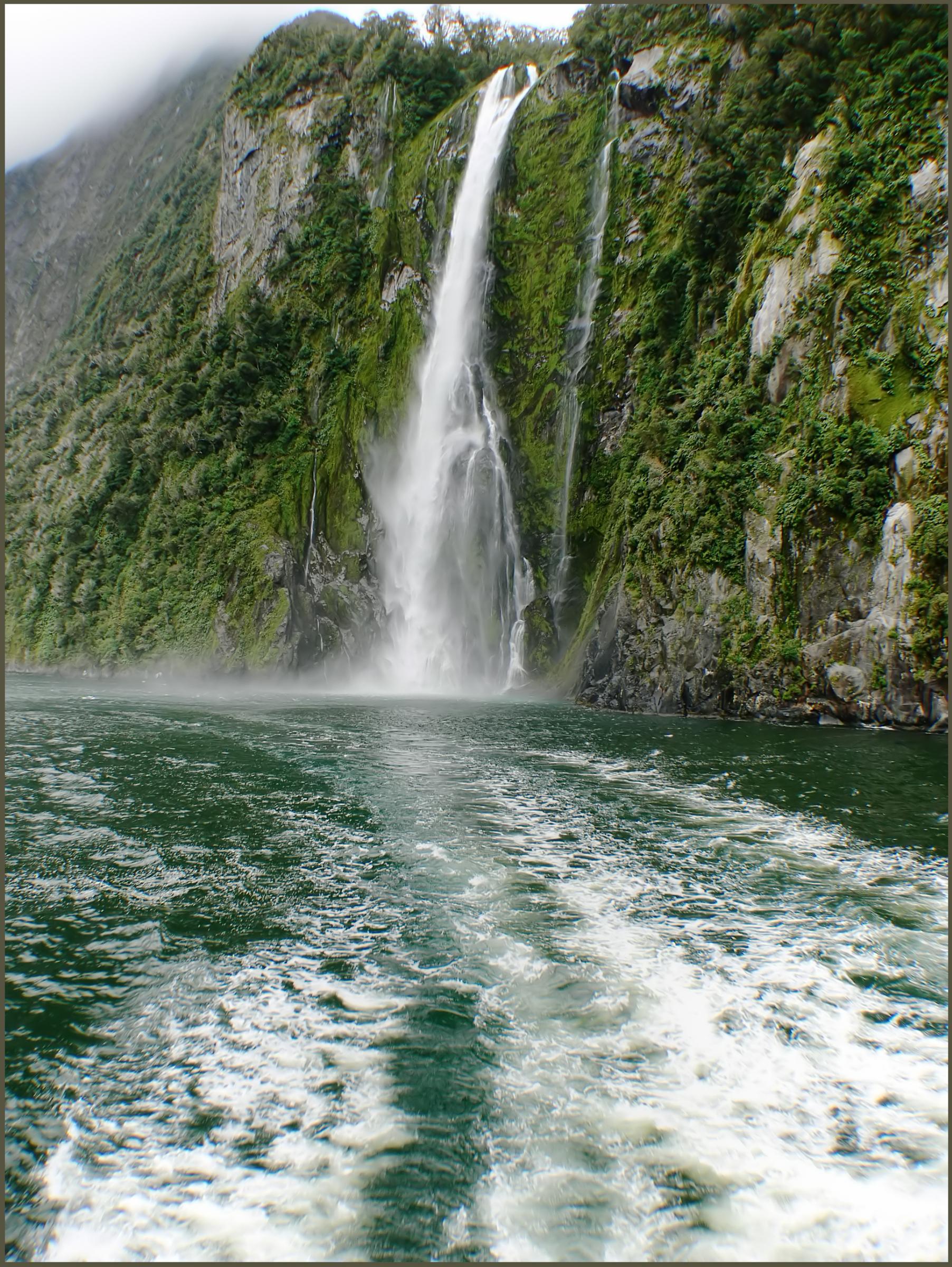 Stirling Falls dropping into Milford Sound beneath steep forested cliffs