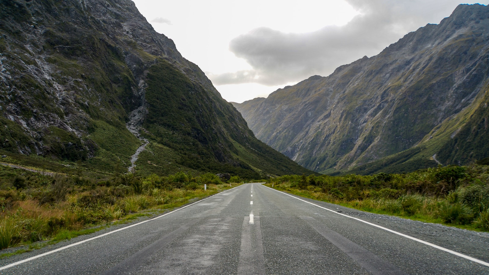 Alpine road through Fiordland — the South Island day-trip classic